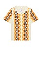 view 4 of 5 CHEMISE DAYTRIPPER in Western Stripe