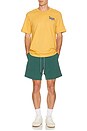 view 3 of 5 Peak Tee in Goldenrod