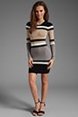 view 2 of 6 Cecilia Dress in Neutral Stripes