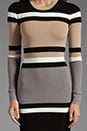 view 5 of 6 Cecilia Dress in Neutral Stripes