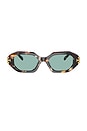 view 1 of 3 GAFAS DE SOL in Dark Wavy Tortoise