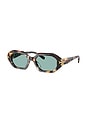 view 2 of 3 GAFAS DE SOL in Dark Wavy Tortoise