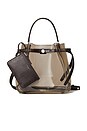 view 4 of 7 BOLSO ROMY CLEAR BUCKET in Rootbeer Float