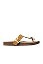 view 1 of 4 Mellow Thong Sandal in Rhum & Avola