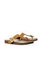 view 2 of 4 Mellow Thong Sandal in Rhum & Avola