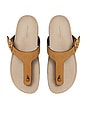 view 3 of 4 Mellow Thong Sandal in Rhum & Avola