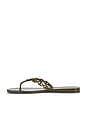 view 5 of 5 Gemini Link Jelly Flip Flop in Moss Rock