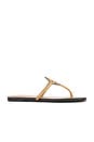 view 1 of 5 Miller Square Toe Flip Flop in Honeycomb Tan