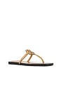 view 2 of 5 Miller Square Toe Flip Flop in Honeycomb Tan