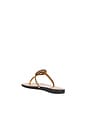 view 3 of 5 Miller Square Toe Flip Flop in Honeycomb Tan
