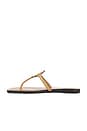 view 5 of 5 Miller Square Toe Flip Flop in Honeycomb Tan