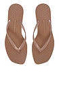 view 3 of 3 Jelly Heel Flip Flop in Almond Flour