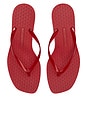 view 3 of 3 Jelly Heel Flip Flop in Red