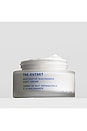 view 3 of 8 CREMA DE NOCHE RESTORATIVE NIACINAMIDE NIGHT CREAM in 