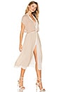 view 1 of 3 Alt Dress in Beige