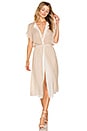 view 2 of 3 Alt Dress in Beige