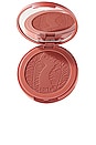 view 1 of 7 Amazonian Clay 12-Hour Blush in Flush