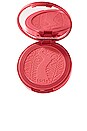 view 1 of 7 Amazonian Clay 12-Hour Blush in Natural Beauty