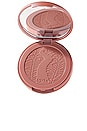 view 1 of 7 Amazonian Clay 12-Hour Blush in Exposed