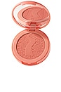 view 1 of 7 Amazonian Clay 12-Hour Blush in Captivating