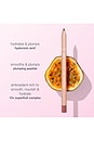 view 6 of 10 CRAYON À LÈVRES MARACUJA JUICY LIP PLUMP LINER WITH CHARM in Caramel