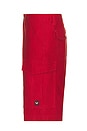view 3 of 4 Cargo Shorts in Red Dahlia