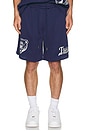 view 5 of 6 Mesh Basketball Shorts in Medieval Blue