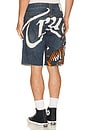 view 2 of 7 Ricky Big T Undone Hem Shorts in Sideline Indigo Dark Wash