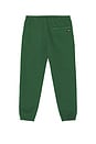 view 2 of 4 Blazing Tour Jogger in Dark Green