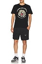 view 4 of 4 Tiger Tee in Jet Black