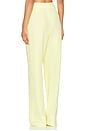 view 3 of 4 Double Pleat Trouser in Limoncello