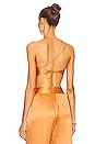 view 3 of 4 Slant Bikini Top in Apricot