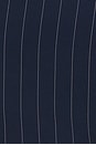 view 5 of 5 ビスチェトップ in Pinstripe