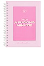 view 1 of 8 Hot Minute Planner in 