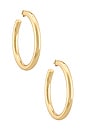 view 1 of 2 THICK HOOP イヤリング in Gold