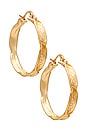 view 1 of 3 Twisted Segnata Hoops in Gold