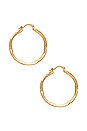view 3 of 3 Twisted Segnata Hoops in Gold