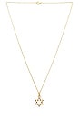 view 1 of 2 The Star Of David Medal Necklace in Gold