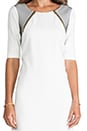 view 5 of 6 Milena Dress in Whitewash