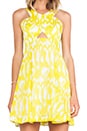 view 6 of 6 Bellicity Dress in Margarita