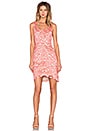 view 4 of 4 Kruze Mini Dress in Nude & Pink