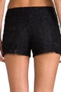 view 6 of 7 Hopper Lace and Leather Shorts in Black