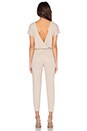 view 4 of 4 Jaxen Jumpsuit in Nude