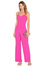 view 1 of 3 Zadie Jumpsuit in Flamingo
