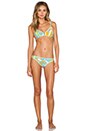 view 4 of 4 Cosmos Bikini Bottom in Multi
