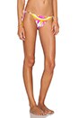 view 2 of 4 Fiji Feathers Bikini Bottom in Sunkist in Sinkist