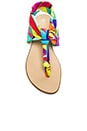 view 3 of 5 Titus Sandal in Viva La Vida