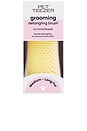 view 1 of 4 CEPILLO PARA PERROS SMALL DETANGLING DOG GROOMING BRUSH in Lilac & Yellow
