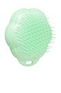 view 4 of 4 Cat Grooming Brush in Green