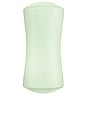 view 2 of 4 CEPILLO PARA PERROS PUPPIES & SENSITIVE SKIN GROOMING BRUSH in Green